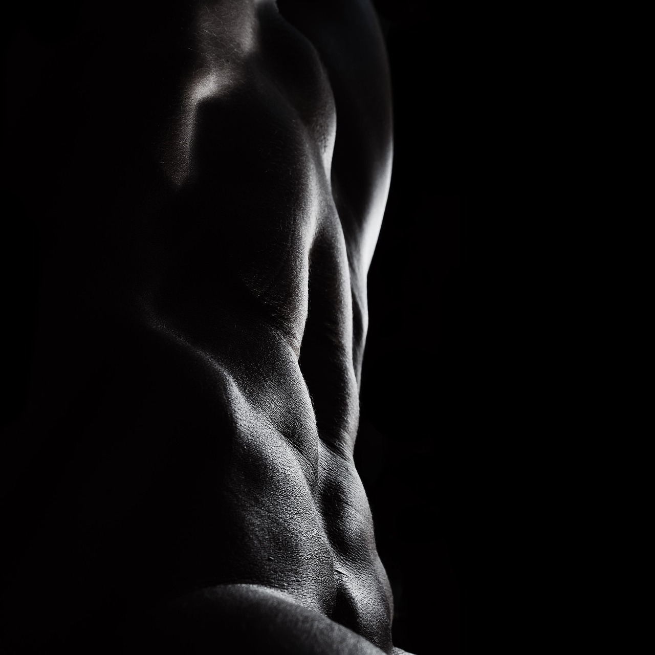 abs, bodyscape, gym, gymbunny, woman, strong, body, muscular, young, fit, athletic, adult, torso, fitness, muscle, bodybuilder, model, attractive, athlete, hot, healthy, strength, posing, lady, girl, female, black fitness, black gym, black model, black healthy, black workout, black body, black lady
